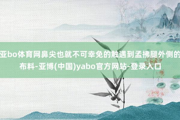 亚bo体育网鼻尖也就不可幸免的触遇到孟拂腿外侧的布料-亚博(中国)yabo官方网站-登录入口