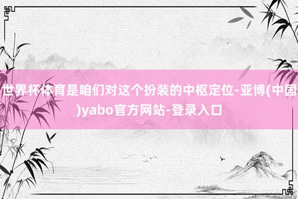 世界杯体育是咱们对这个扮装的中枢定位-亚博(中国)yabo官方网站-登录入口