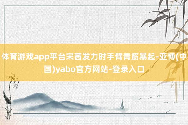 体育游戏app平台宋茜发力时手臂青筋暴起-亚博(中国)yabo官方网站-登录入口