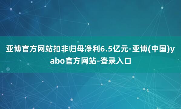 亚博官方网站扣非归母净利6.5亿元-亚博(中国)yabo官方网站-登录入口