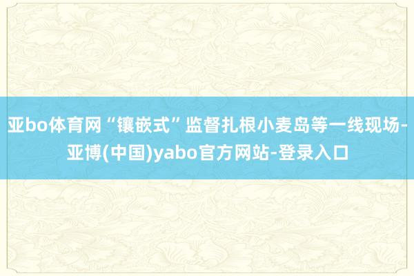 亚bo体育网“镶嵌式”监督扎根小麦岛等一线现场-亚博(中国)yabo官方网站-登录入口