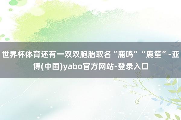世界杯体育还有一双双胞胎取名“鹿鸣”“鹿笙”-亚博(中国)yabo官方网站-登录入口