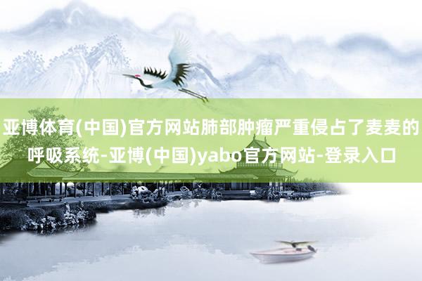 亚博体育(中国)官方网站肺部肿瘤严重侵占了麦麦的呼吸系统-亚博(中国)yabo官方网站-登录入口