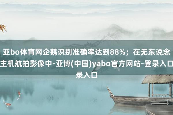 亚bo体育网企鹅识别准确率达到88%；在无东说念主机航拍影像中-亚博(中国)yabo官方网站-登录入口