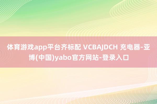 体育游戏app平台齐标配 VCBAJDCH 充电器-亚博(中国)yabo官方网站-登录入口